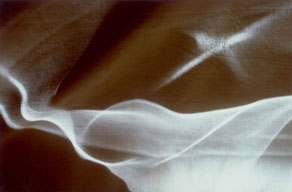 armonia,Laura Viliani