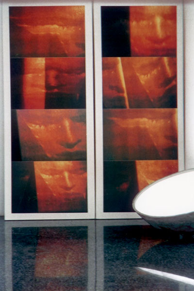 " Sudario " 170x150 cm, stampa digitale su tela,processo analogico